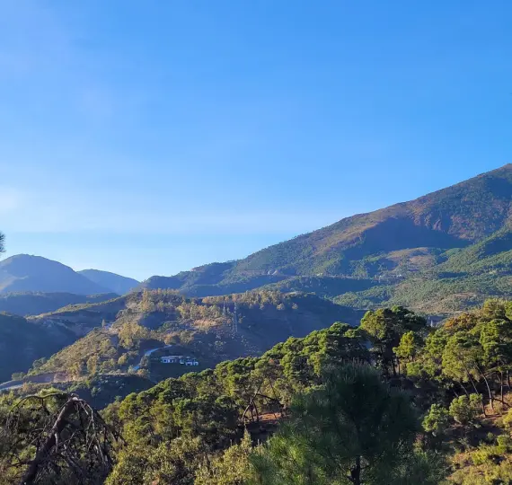 Sale of residential plot in La Zagaleta