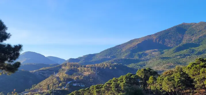 Sale of residential plot in La Zagaleta 0