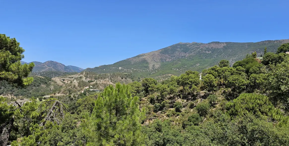 Sale of residential plot in La Zagaleta 2