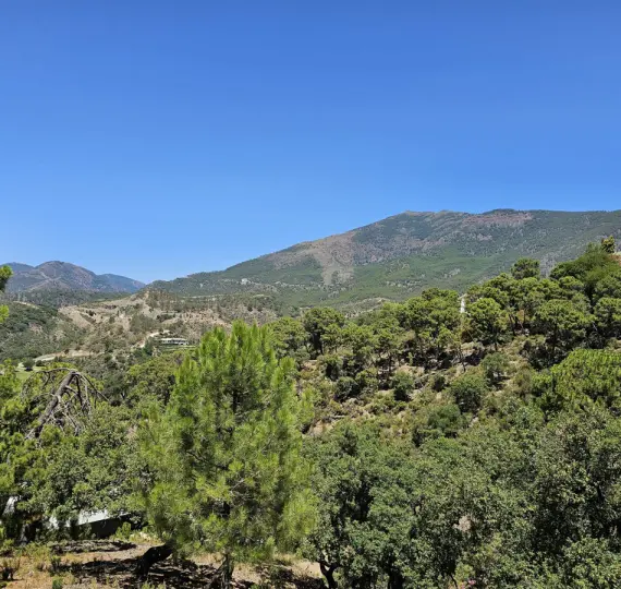 Sale of residential plot in La Zagaleta