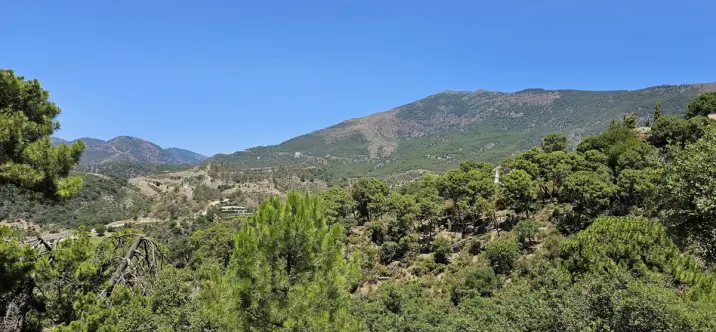 Sale of residential plot in La Zagaleta 1