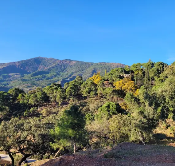 Sale of residential plot in La Zagaleta