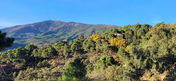 Sale of residential plot in La Zagaleta 2