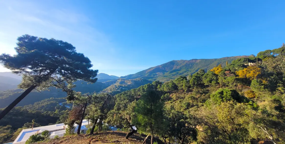 Sale of residential plot in La Zagaleta 5