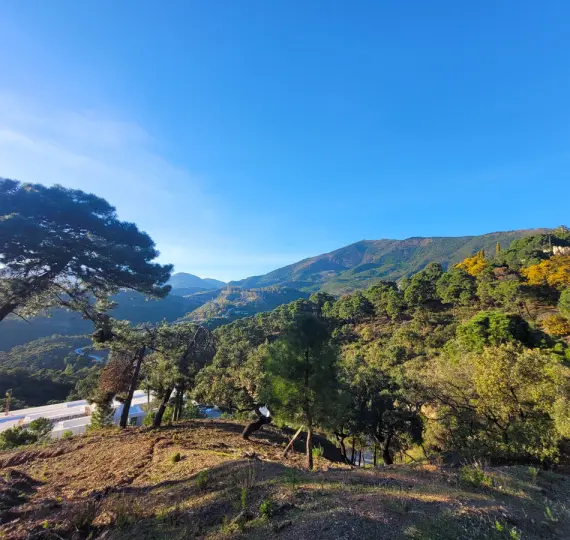 Sale of residential plot in La Zagaleta