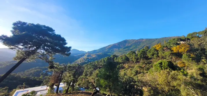 Sale of residential plot in La Zagaleta 4