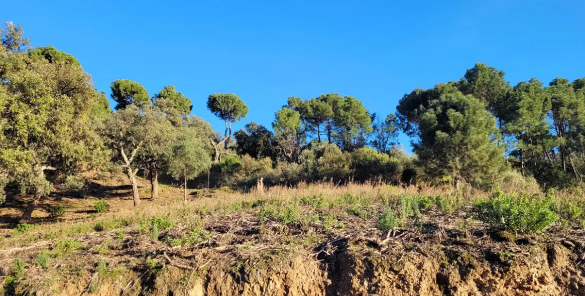 Sale of residential plot in La Zagaleta 6