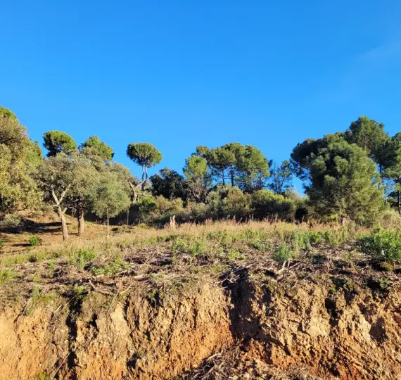 Sale of residential plot in La Zagaleta