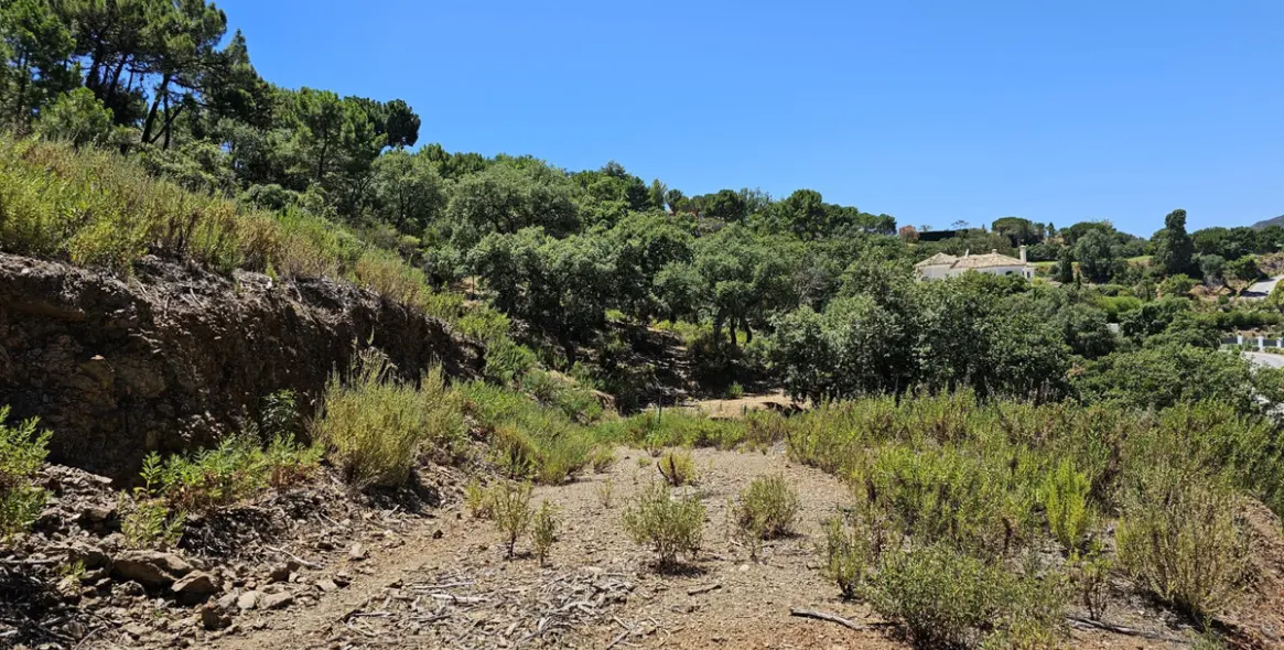 Sale of residential plot in La Zagaleta 7