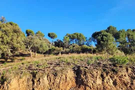 Image 6 thumb