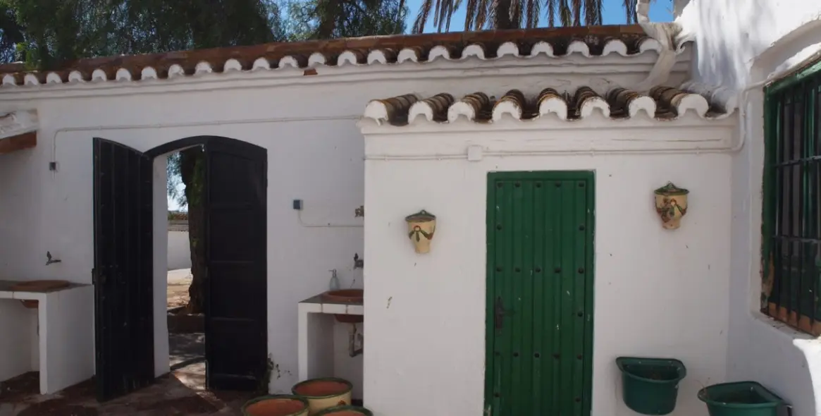 Продажа финки в Almayate 12