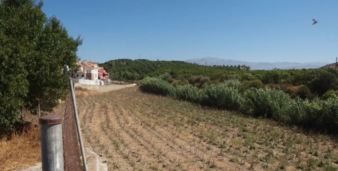 Продажа финки в Almayate 19