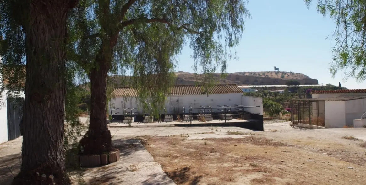 Продажа финки в Almayate 21