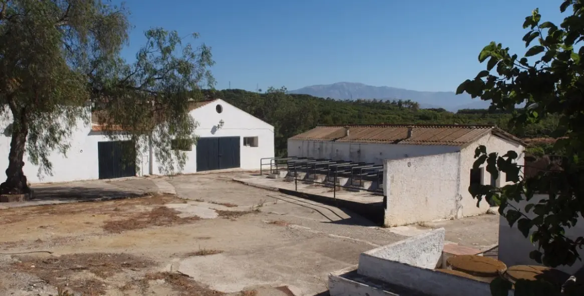 Продажа финки в Almayate 26