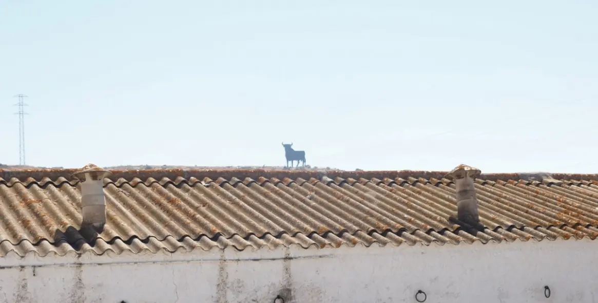 Продажа финки в Almayate 39