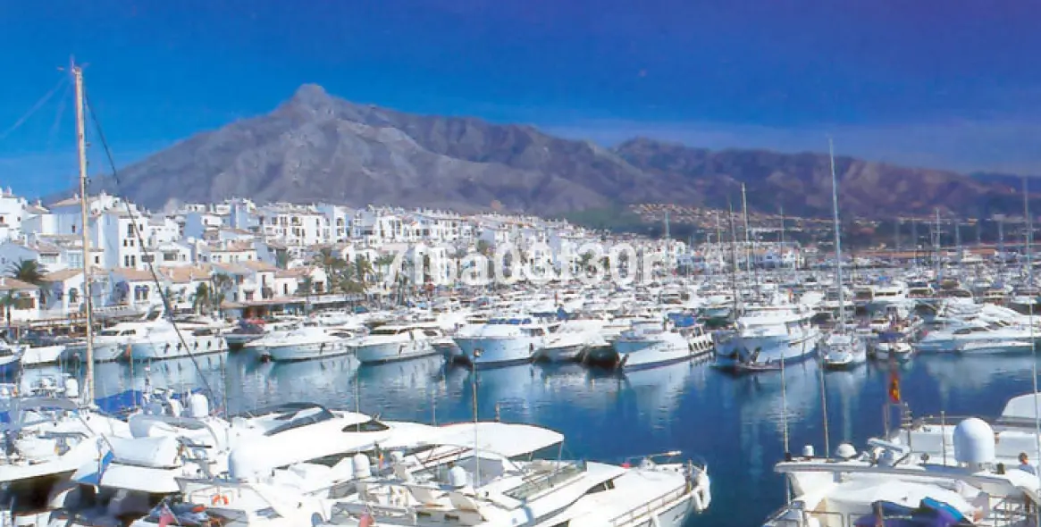 Краткосрочная аренда  отдельно стоящей виллы в Nueva Andalucía 48