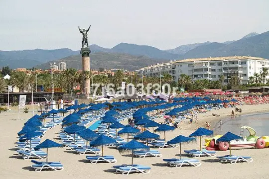 Image 61 thumb