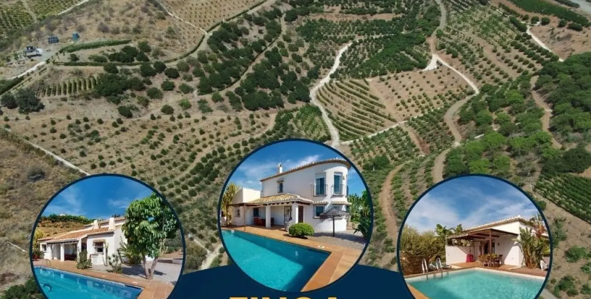 Продажа  отдельно стоящей виллы в Costa del Sol East 1