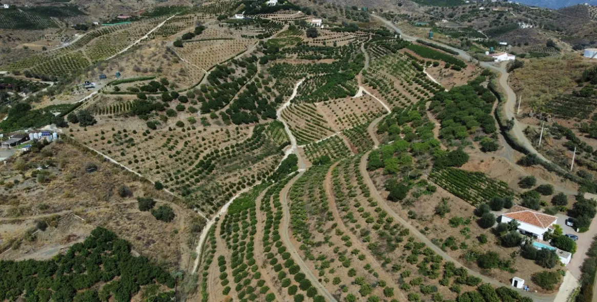 Продажа  отдельно стоящей виллы в Costa del Sol East 2