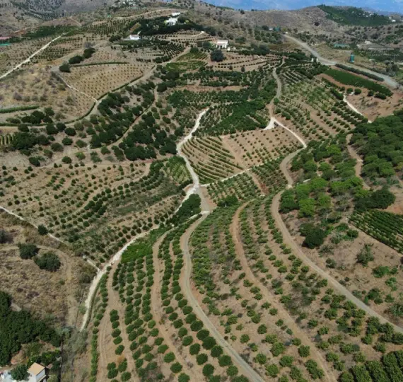 Villa independiente R4883965