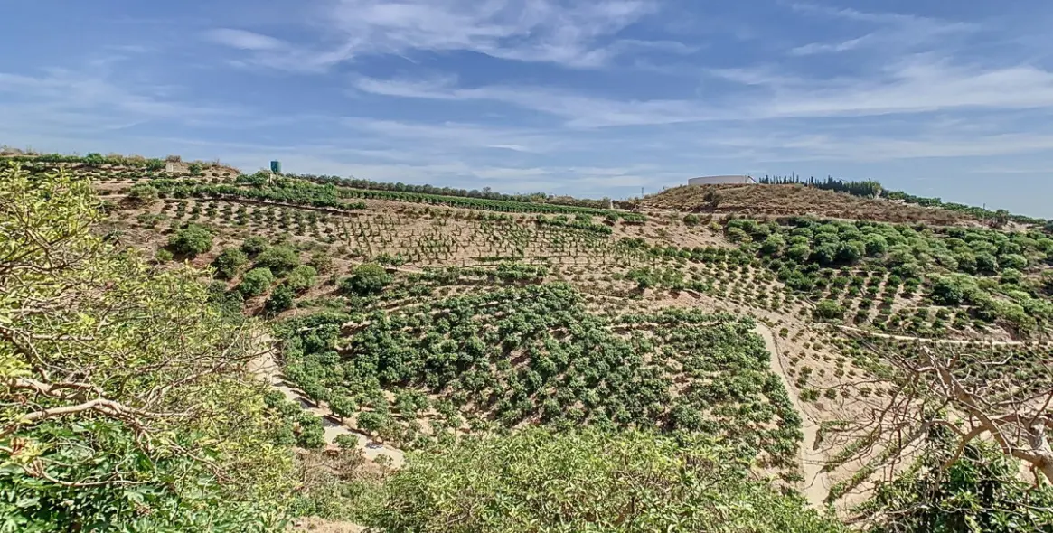 Продажа  отдельно стоящей виллы в Costa del Sol East 3