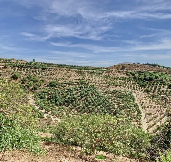 Villa independiente R4883965