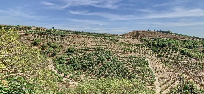 Villa independiente R4883965 2