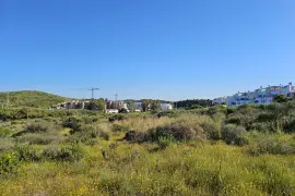 Image 4 thumb