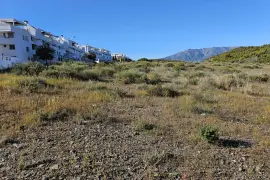 Image 8 thumb