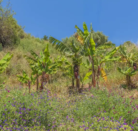 Parcela residencial R5034073