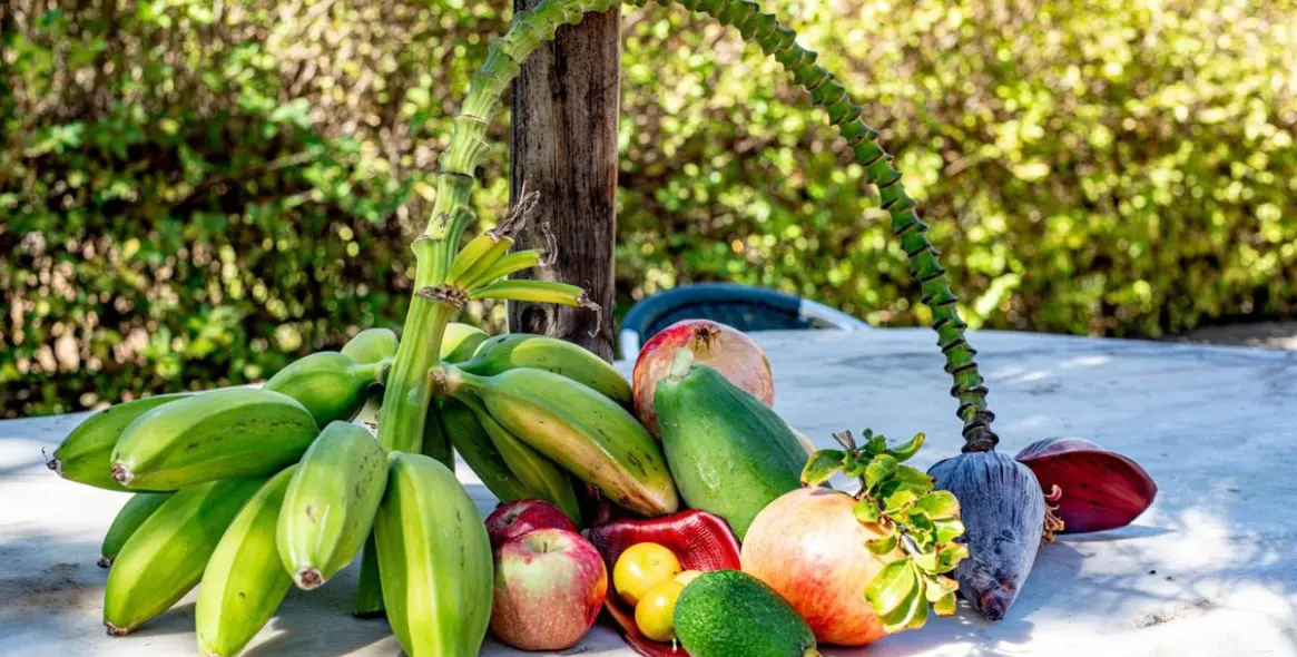 Venta de parcela residencial en Estepona (distrito Estepona) 5