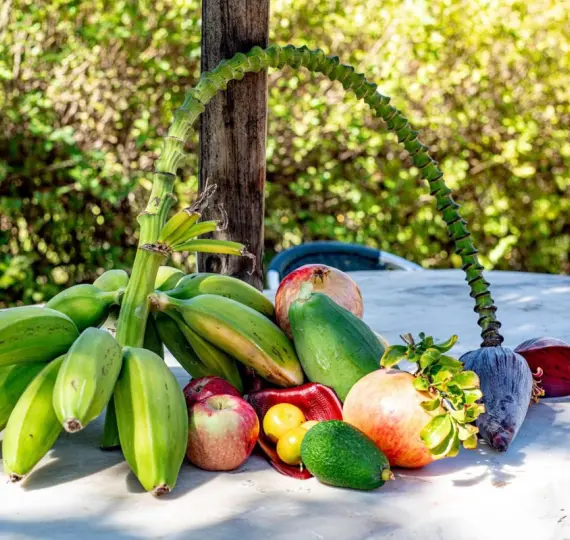 Parcela residencial R5034073