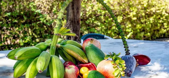 Parcela residencial R5034073 4