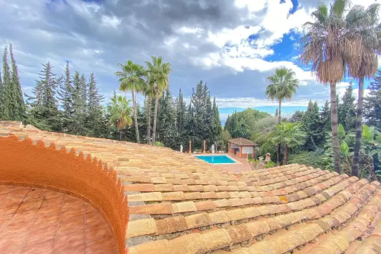 Image 6 thumb