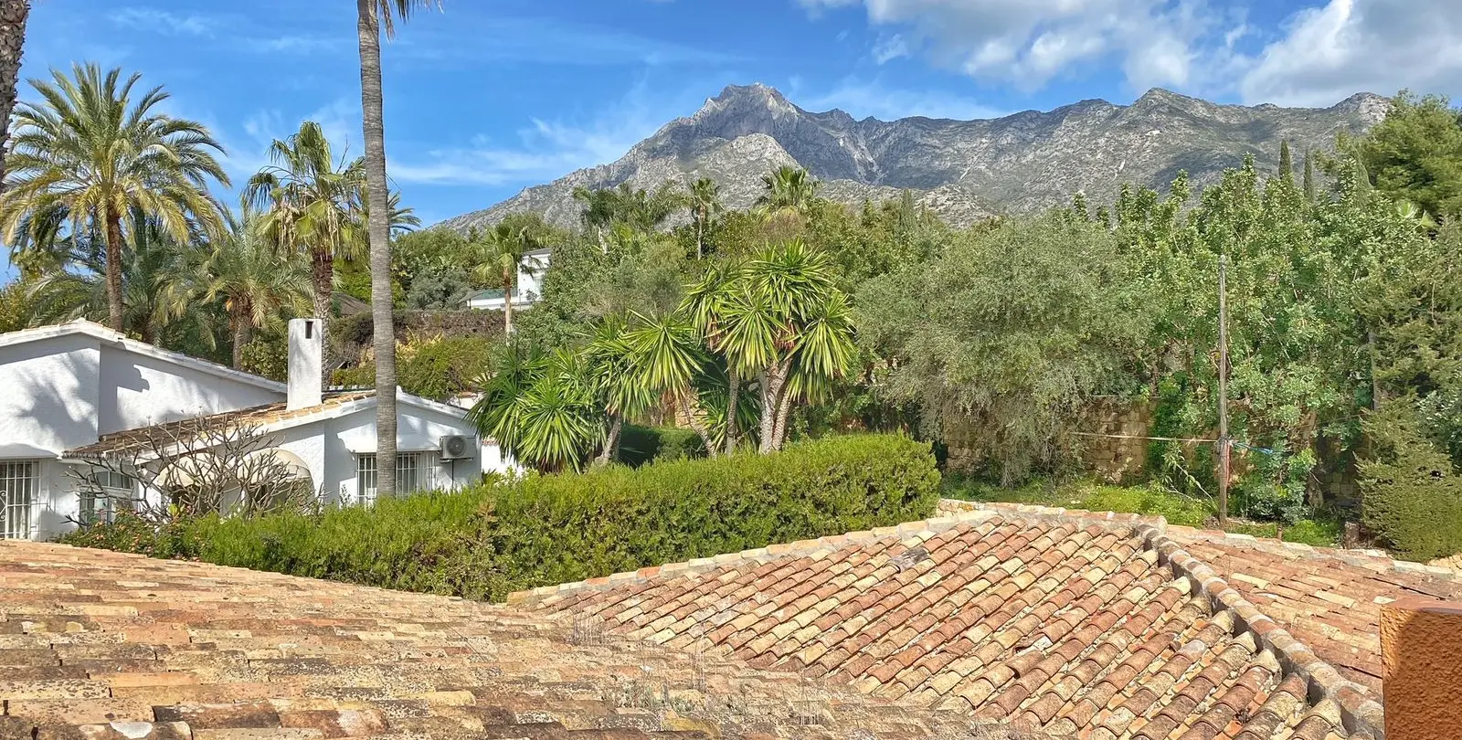 Sale of detached villa in Nagüeles 32