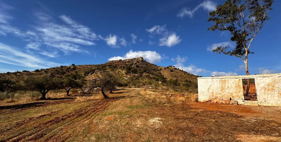 Продажа  жилого участка в Malaga (район Provincia de Málaga) 6