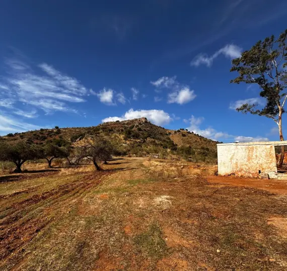 Жилой участок R5233609