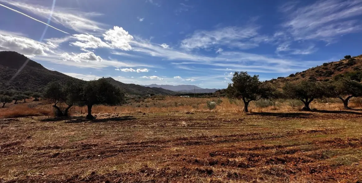 Продажа  жилого участка в Malaga (район Provincia de Málaga) 7