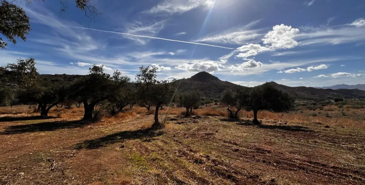 Продажа  жилого участка в Malaga (район Provincia de Málaga) 8