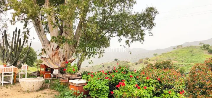 Townhouse R4693549 3