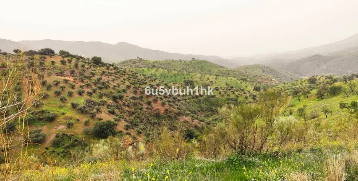 Sale of townhouse in Marbella (district Marbella) 5