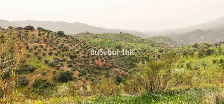 Townhouse R4693549 4