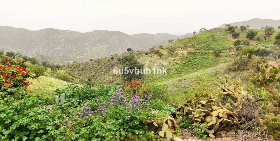 Sale of residential plot in Malaga 35