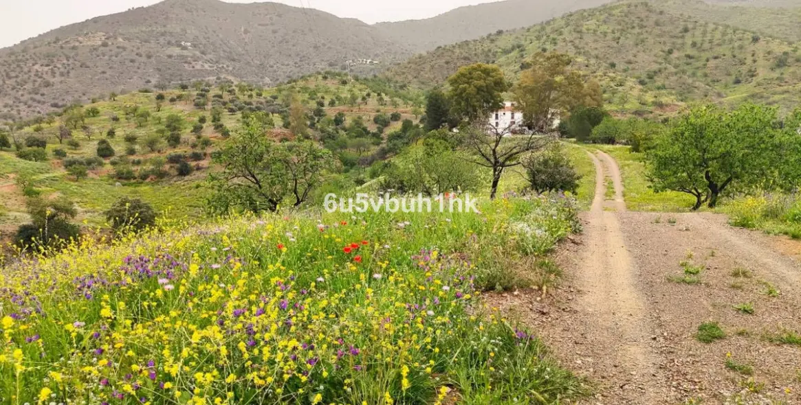 Sale of residential plot in Malaga 37