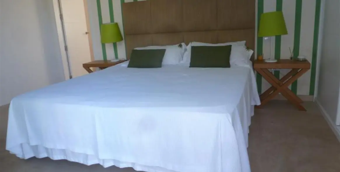 Long-term rent of detached villa in Guadalmina Baja 8