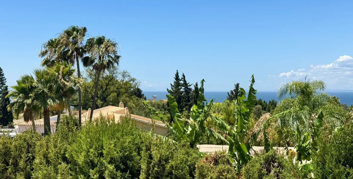 Sale of detached villa in El Rosario 34