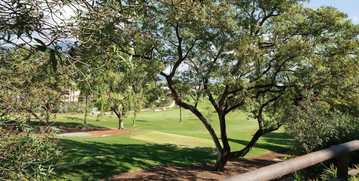 Продажа  отдельно стоящей виллы в Nueva Andalucía 40