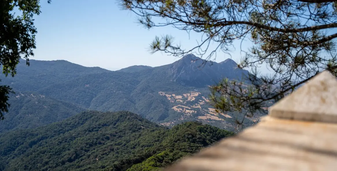 Продажа  отдельно стоящей виллы в Gaucín 40