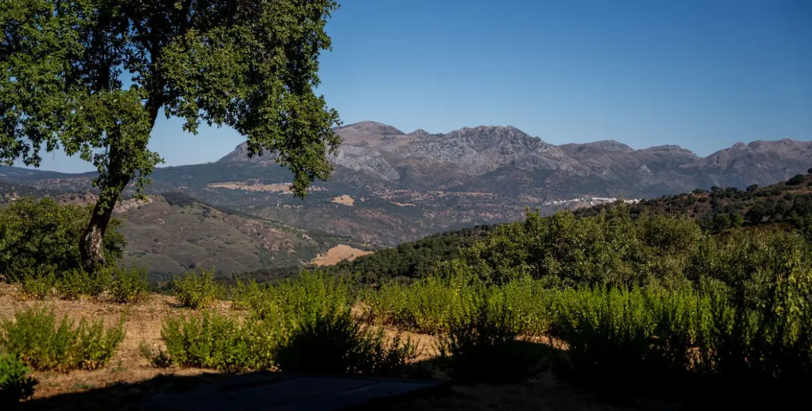 Продажа  отдельно стоящей виллы в Gaucín 52