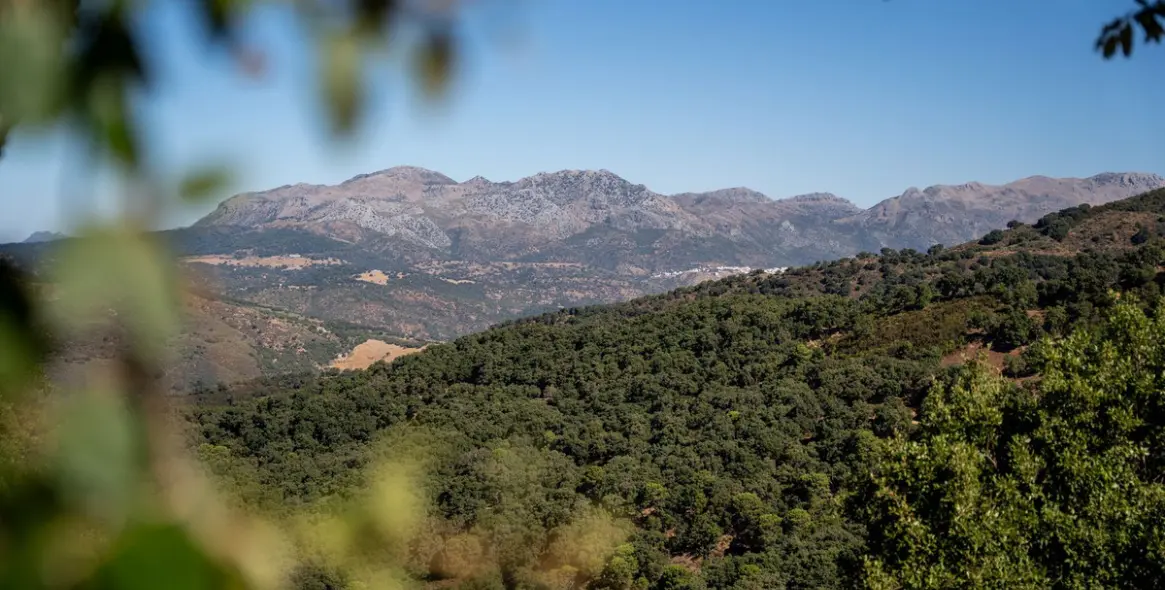 Продажа  отдельно стоящей виллы в Gaucín 56